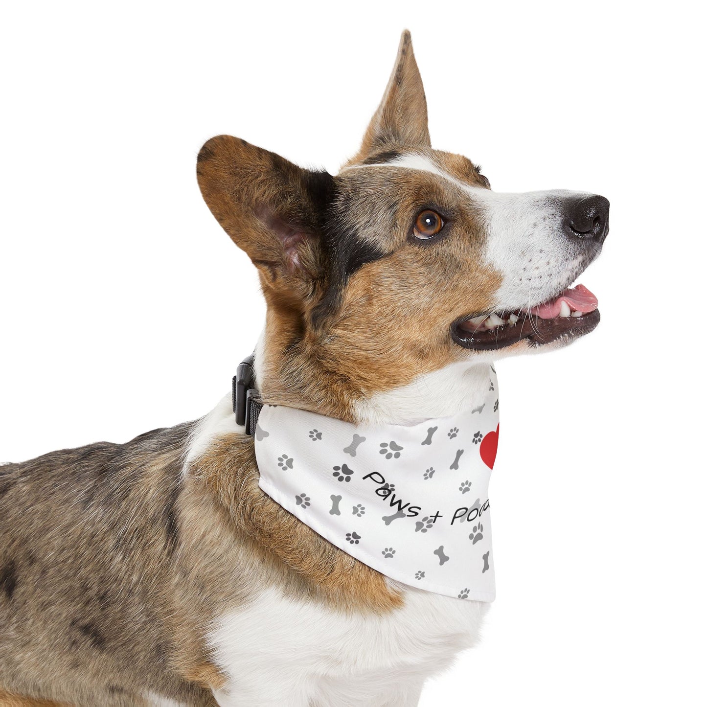 Paws Bandana Collar