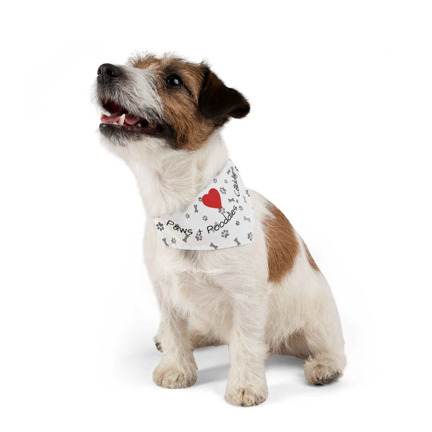 Paws Bandana Collar